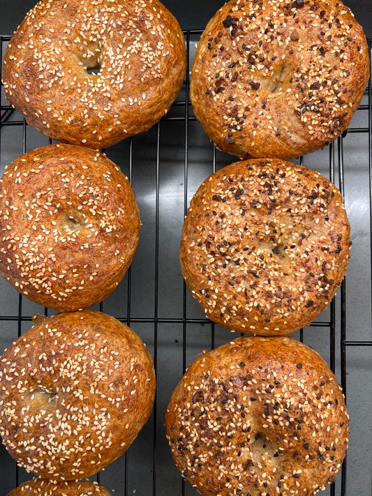 Bagel